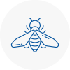 Bee Nest Removal Downham Market