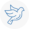 Bird Prevention Downham Market