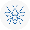 Downham Market Hornet Nest Removals