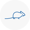 Mice Exterminators In Downham Market