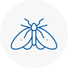 Moth Control Specialists In Downham Market