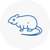 Rat Control Downham Market