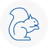 Downham Market Rodent Removals